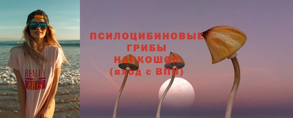 твердый Балахна
