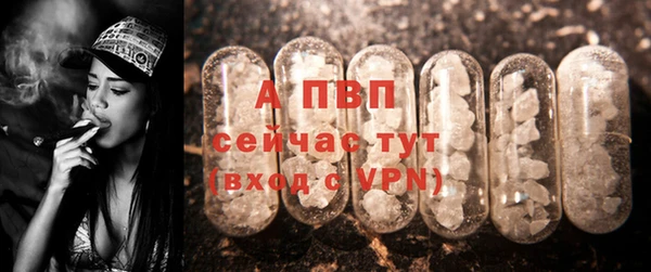 спиды Беломорск