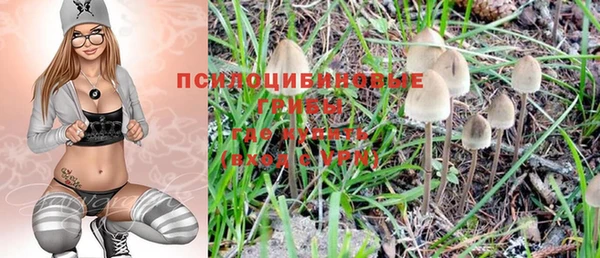 ешки Белокуриха
