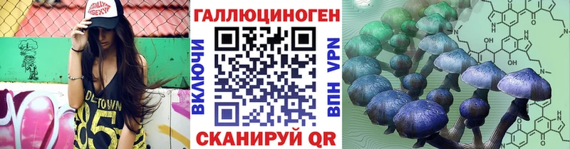 Псилоцибиновые грибы Psilocybe  Кувандык 